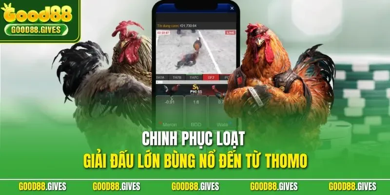 Chinh phục loạt giải đấu lớn bùng nổ đến từ Thomo
